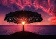 PARTUM SOFTWARES PVT LTD.,