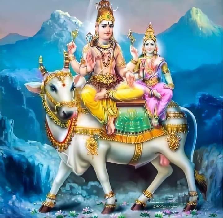 Gopala Krishnan.S